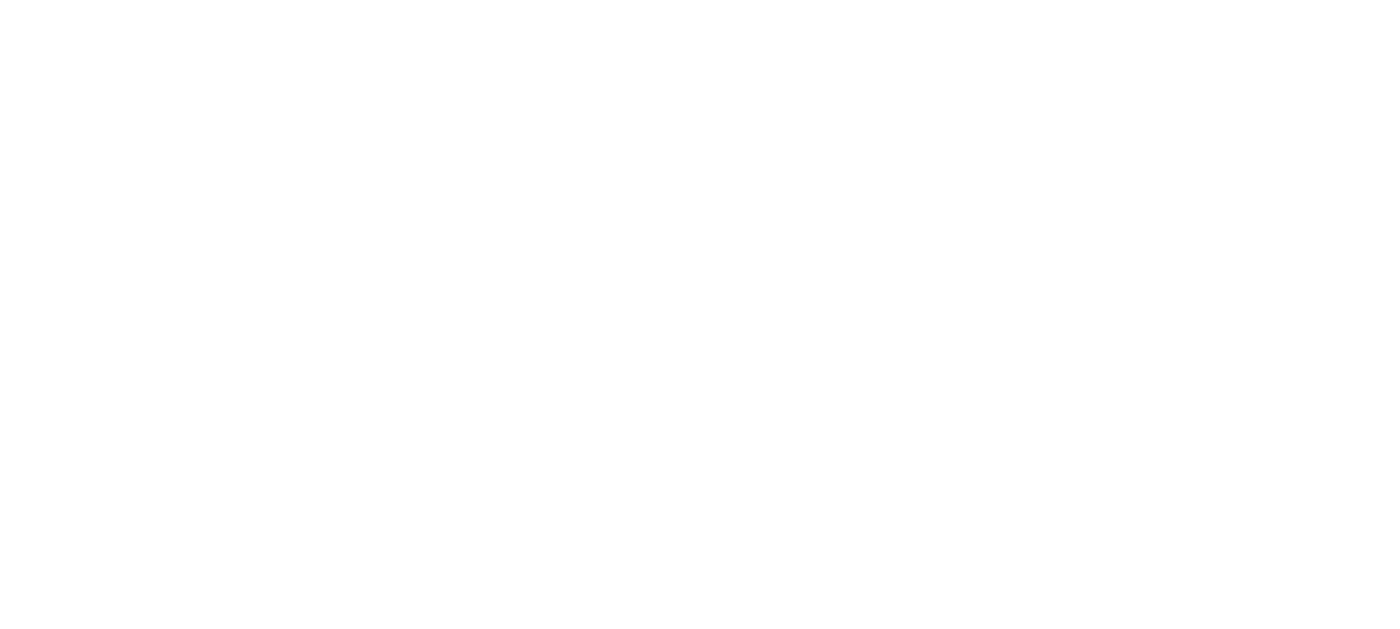 Biosystem Elettronica